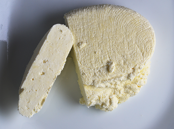 Homemade Paneer