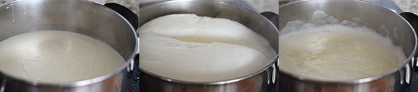 3_paneer